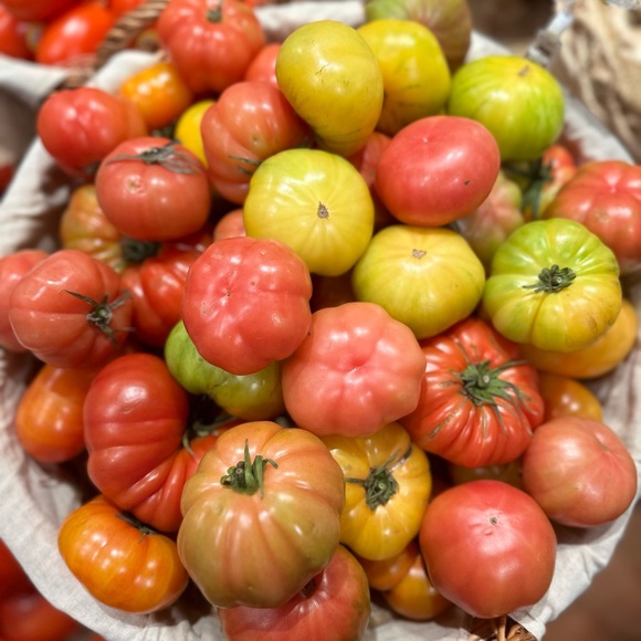 Meet your Posher, Alexandria - Picture 5 of 5